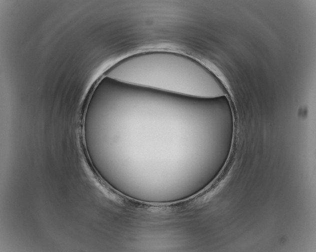 X0000090900989200707301007