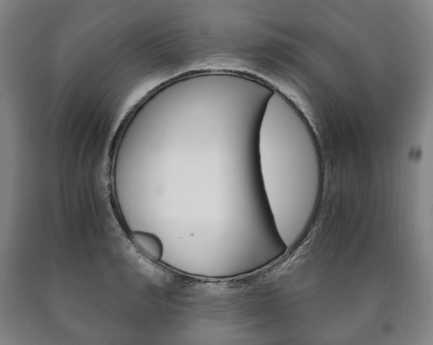 X0000090900990200707301007