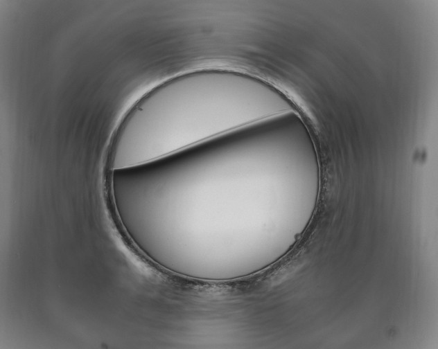 X0000090900991200707301007