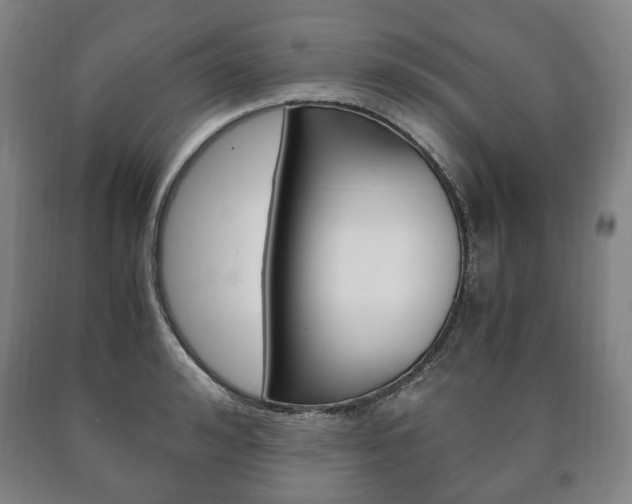 X0000090900992200707301007