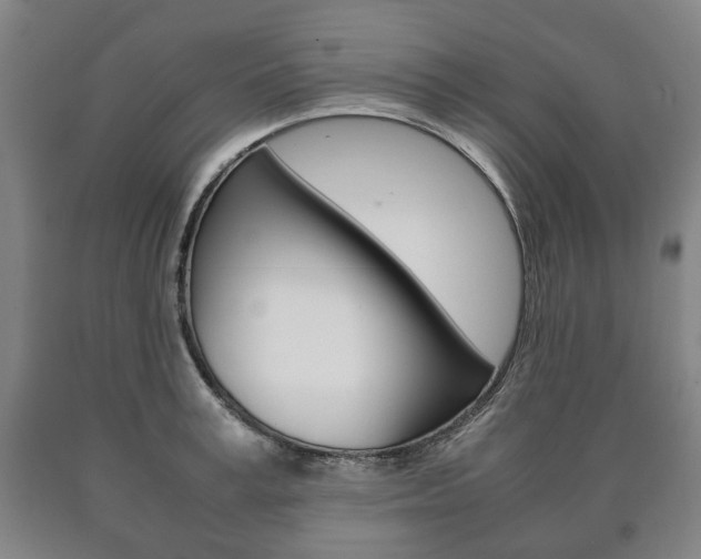 X0000090900995200707301007