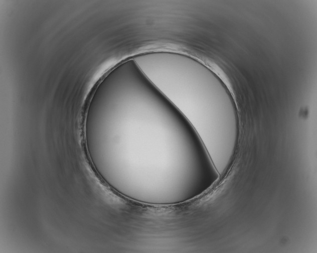X0000090900997200707301007