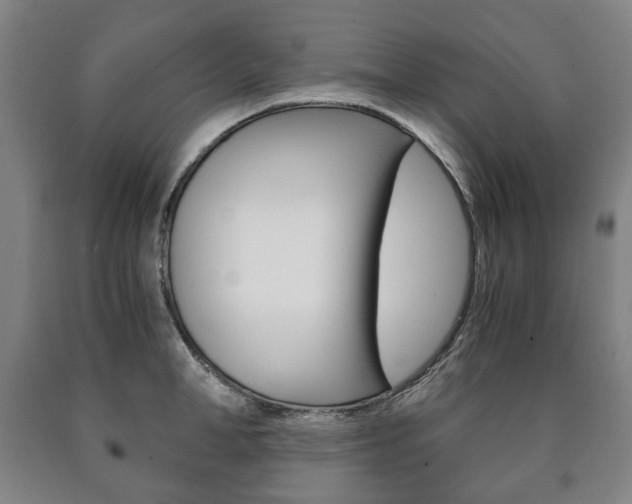 X0000090900998200707301007