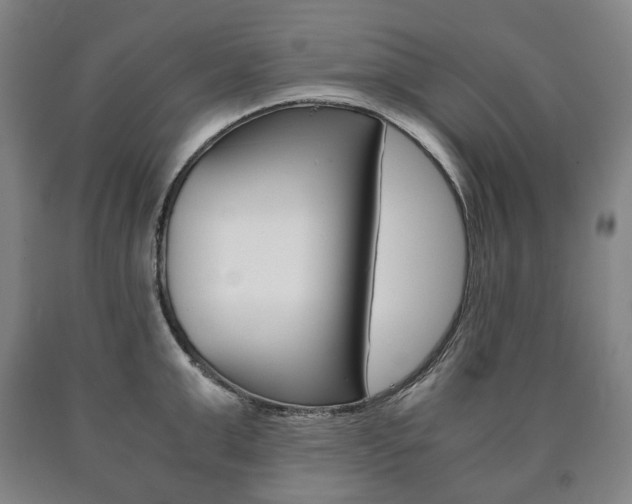 X0000090900999200707301007