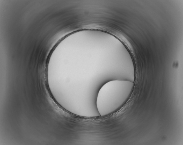 X0000090901000200707301007