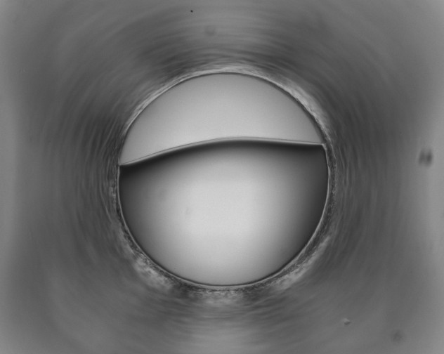X0000090901001200707301007