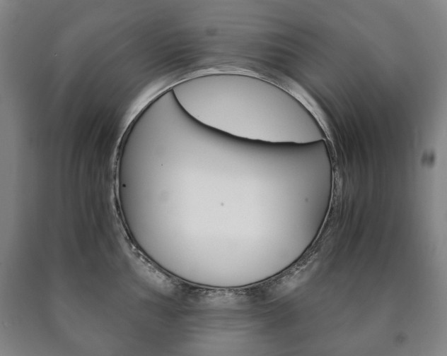 X0000090901002200707301007