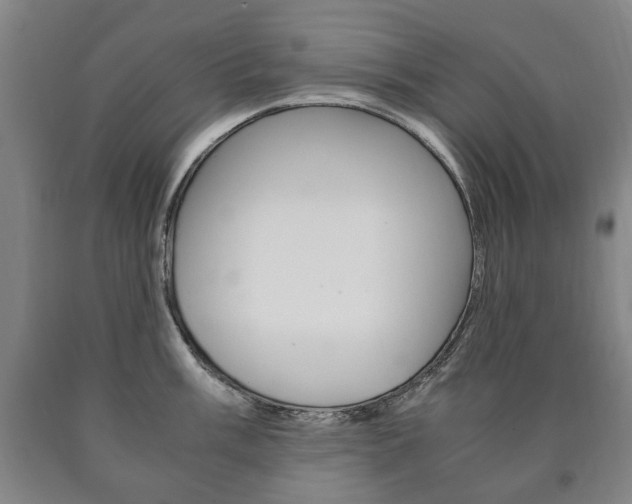 X0000090901003200707301007