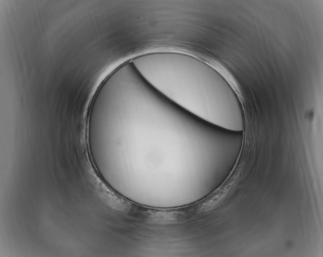 X0000090901004200707301007