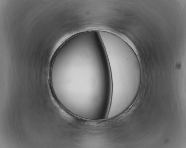 X0000090901005200707301007