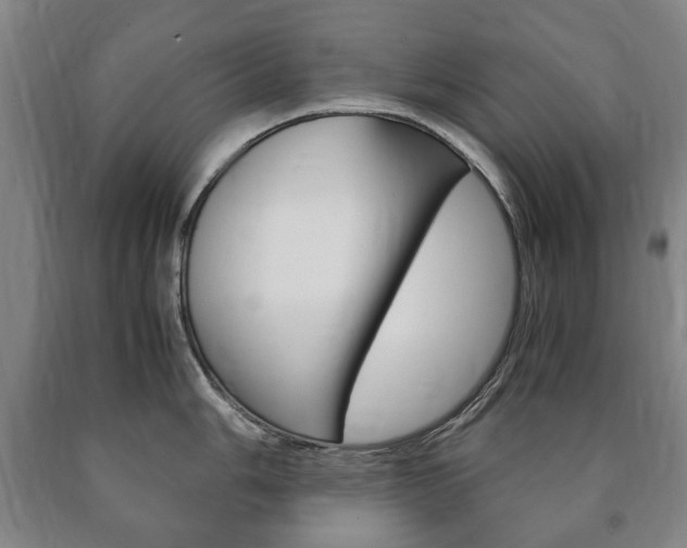 X0000090901006200707301007