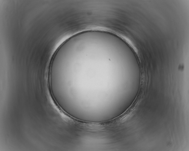 X0000090901007200707301007