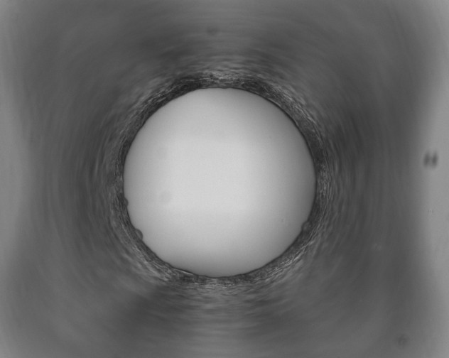 X0000090901009200707301007