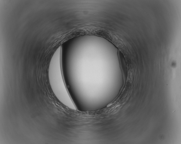 X0000090901010200707301007