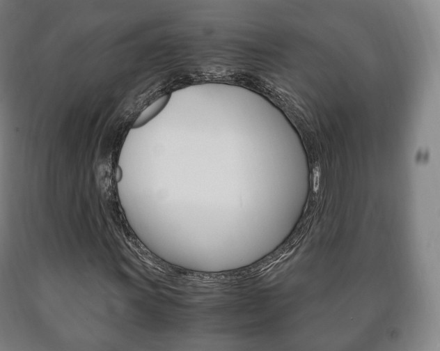X0000090901011200707301007