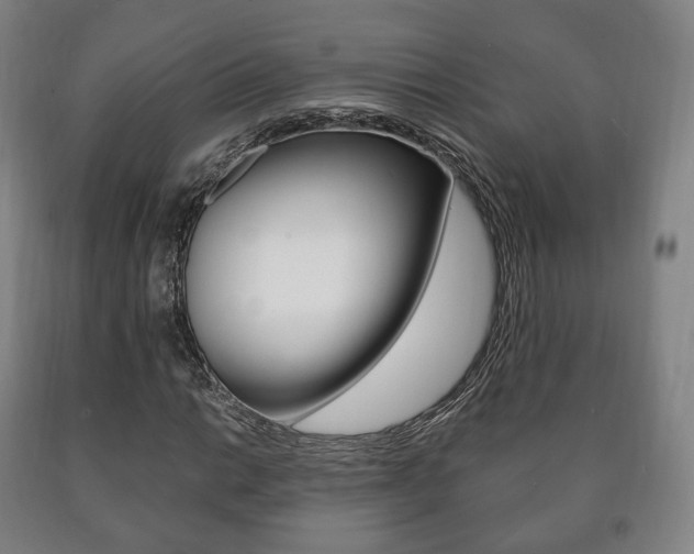 X0000090901014200707301007