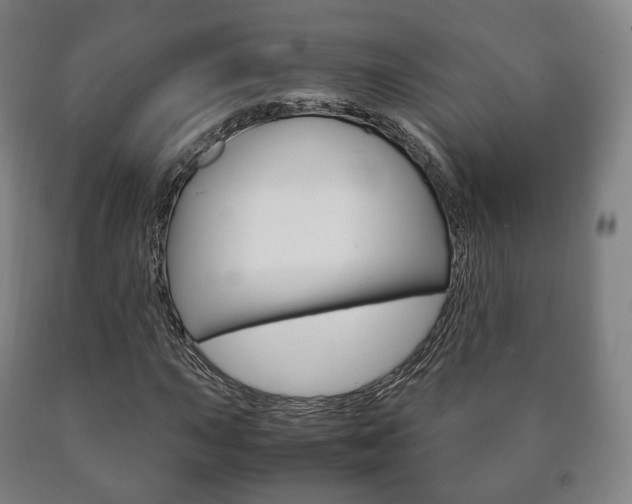 X0000090901015200707301007