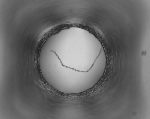 X0000090901016200707301007