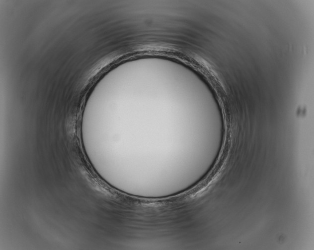 X0000090901017200707301007