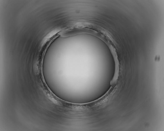 X0000090901018200707301007