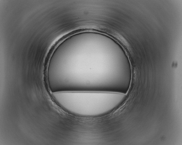 X0000090901020200707301007