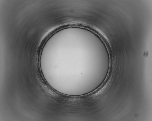 X0000090901021200707301007