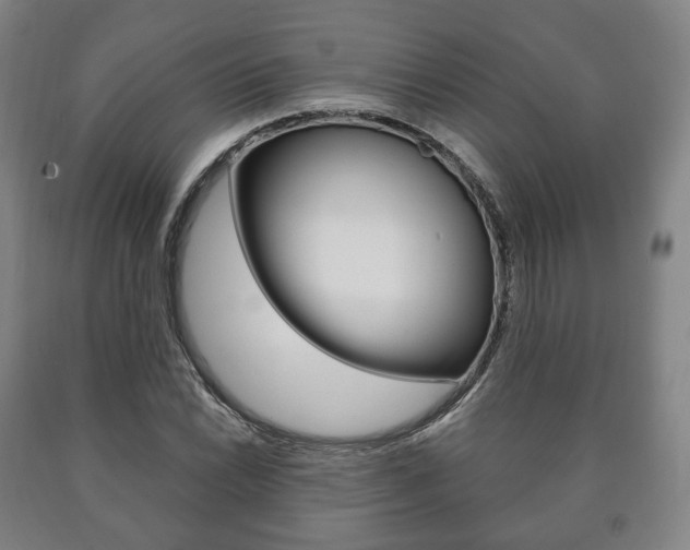 X0000090901022200707301007