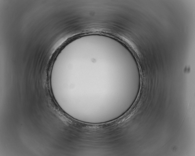 X0000090901023200707301007