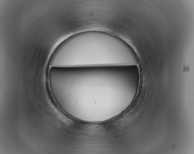 X0000090901024200707301007