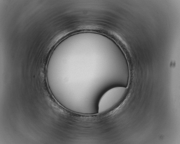 X0000090901025200707301007