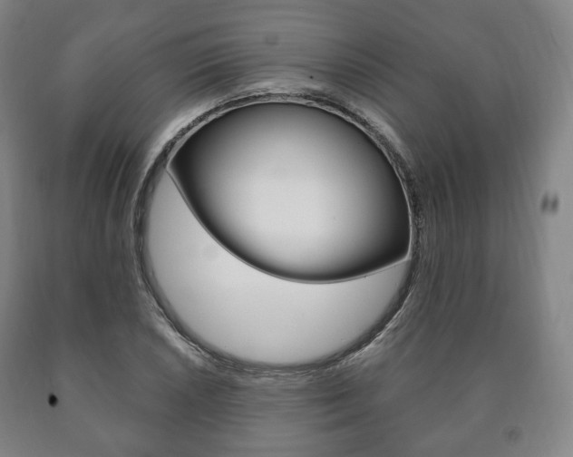 X0000090901026200707301007