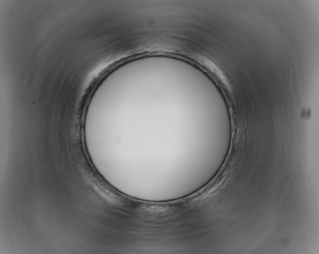 X0000090901027200707301007