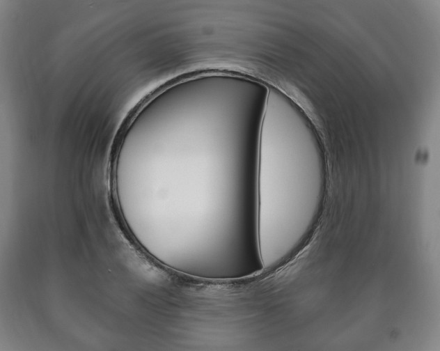 X0000090901028200707301007