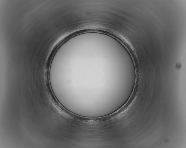 X0000090901029200707301007
