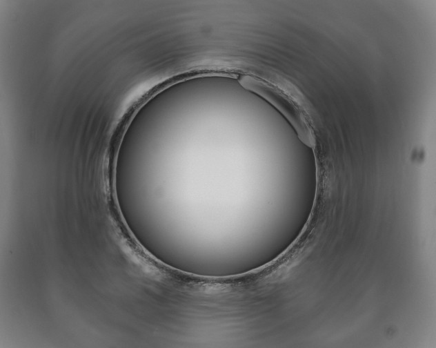X0000090901030200707301007