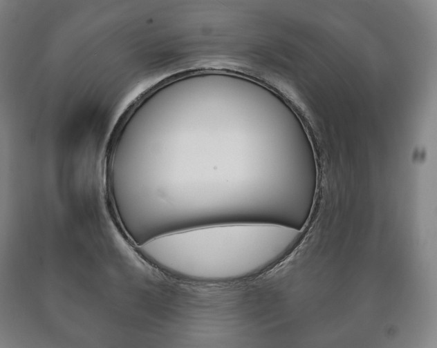 X0000090901032200707301007