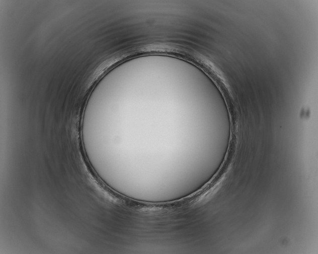 X0000090901033200707301007