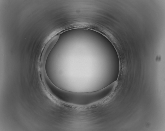 X0000090901034200707301007