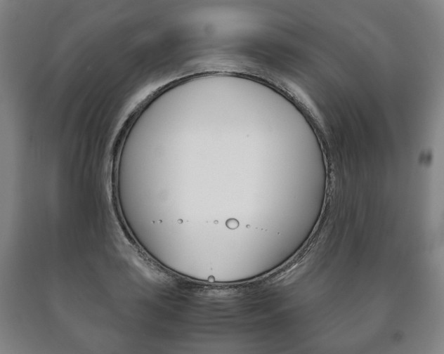 X0000090901035200707301007