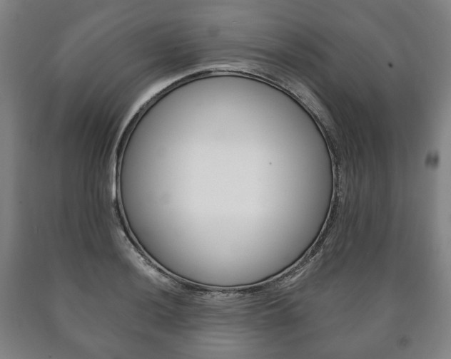 X0000090901036200707301007