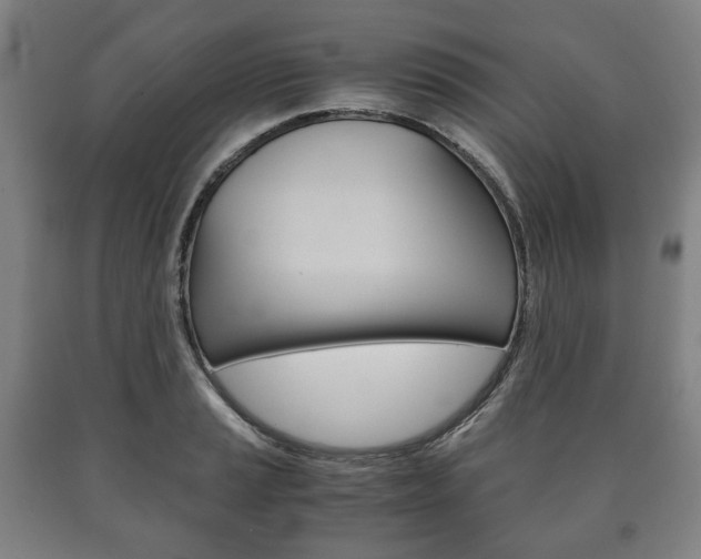 X0000090901037200707301007
