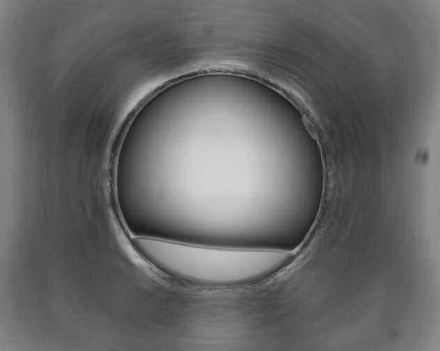 X0000090901038200707301007