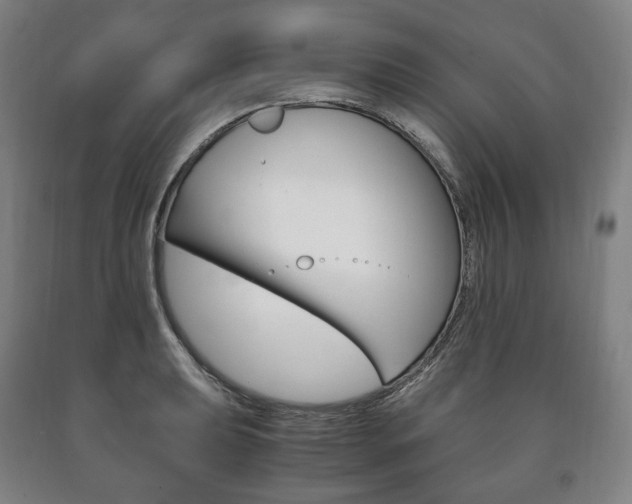 X0000090901039200707301007