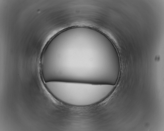 X0000090901040200707301007
