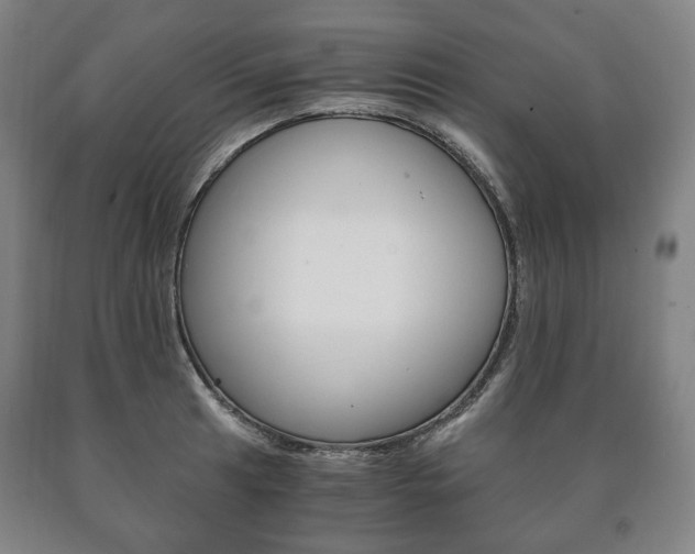 X0000090901041200707301007