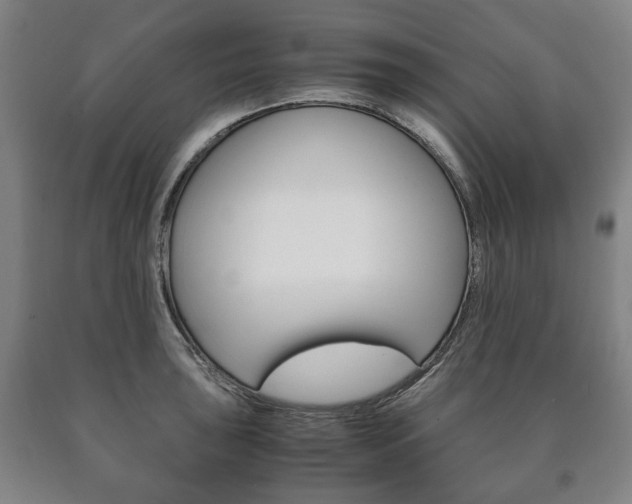 X0000090901043200707301007