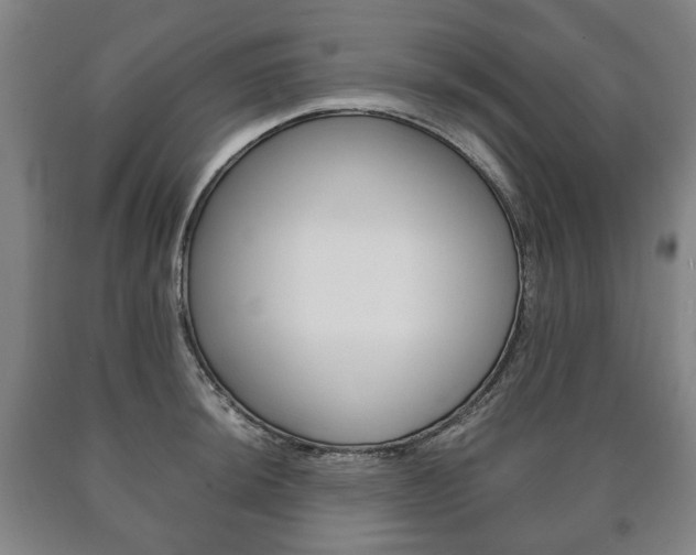 X0000090901044200707301007