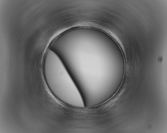 X0000090901045200707301007