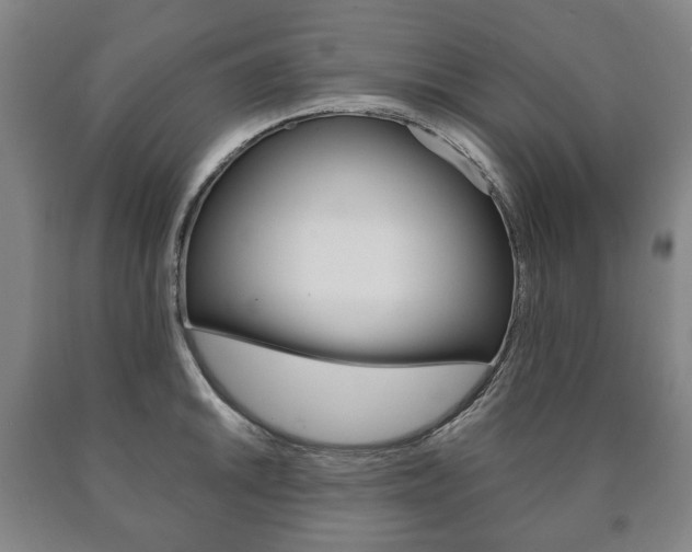 X0000090901046200707301007