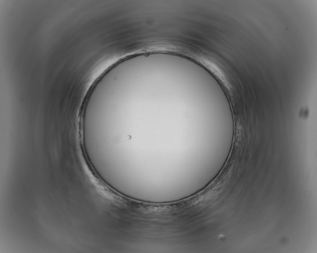 X0000090901047200707301007